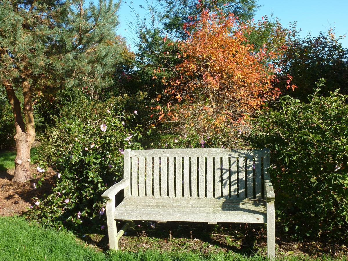 Manoir De Savigny Bed & Breakfast แวโลญส์ ภายนอก รูปภาพ