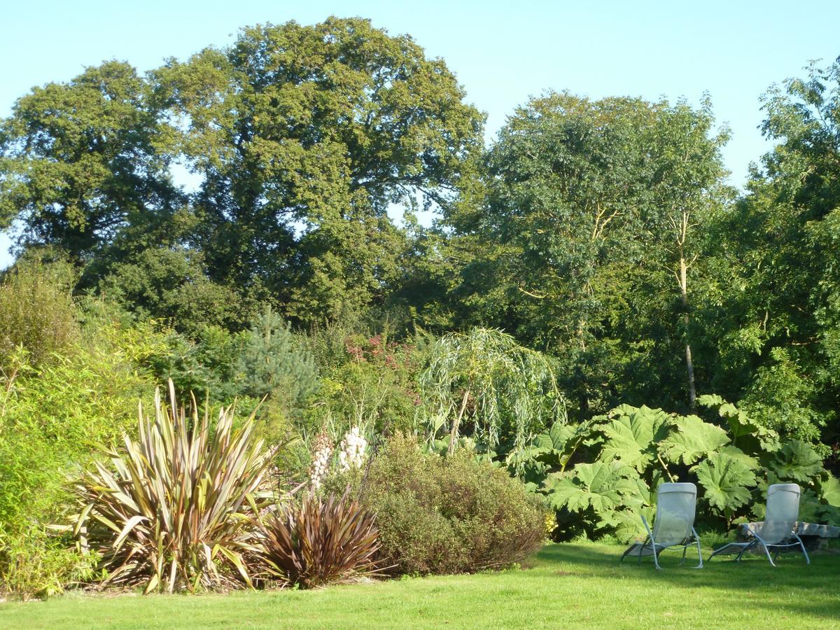 Manoir De Savigny Bed & Breakfast แวโลญส์ ภายนอก รูปภาพ
